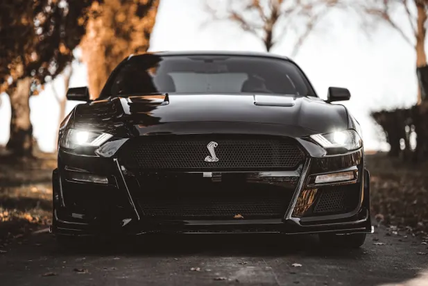 Lapilanders Kazino Android/iOS Lietotne